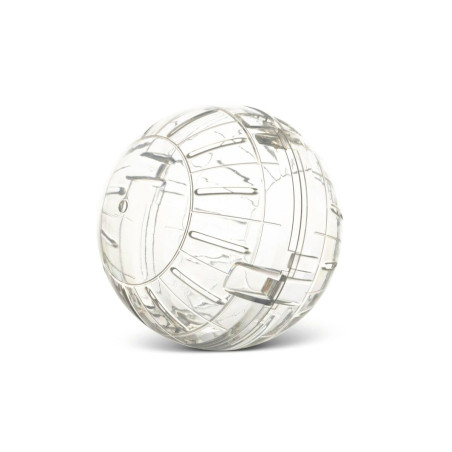 Ballon d'exercice Savic Transparent polystyrène