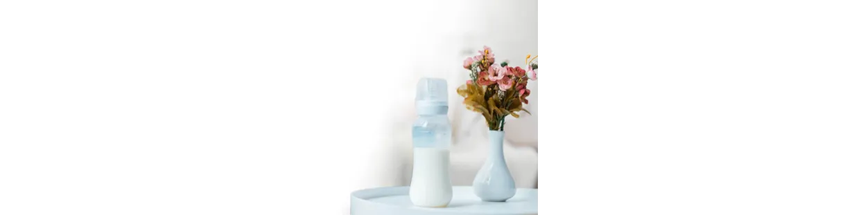 Alimentation bébé