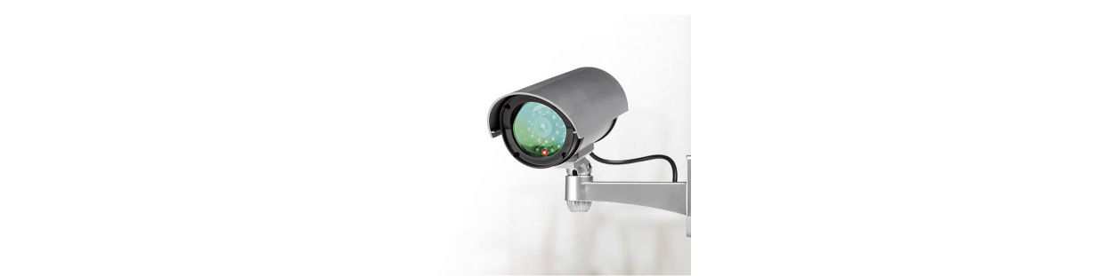 Caméras de surveillance vidéo